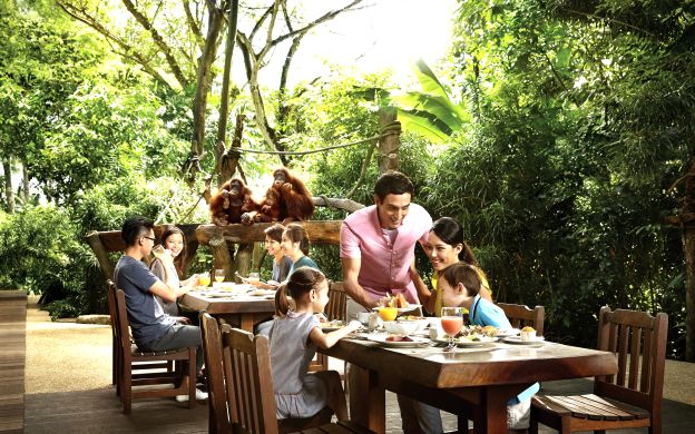 Breakfast with Orangutans: A beautiful moment blending nature, joy, and connection, crafting cherished memories within Singapore's embrace.